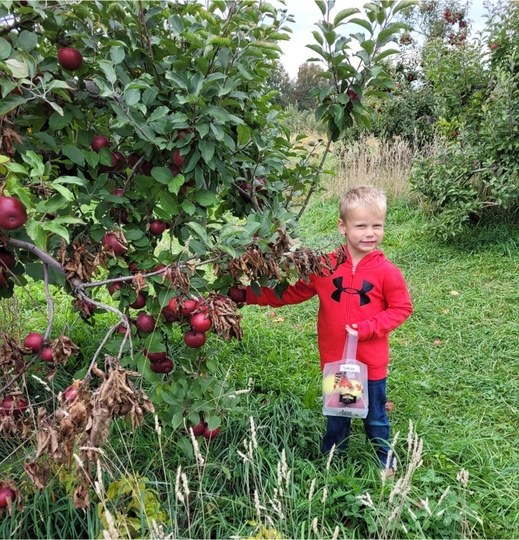 Preschool field trip to the apple orchard