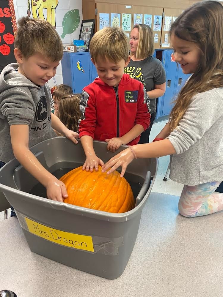 pumpkin experiment 