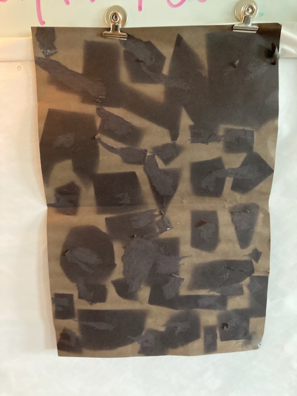 sun damage experiment