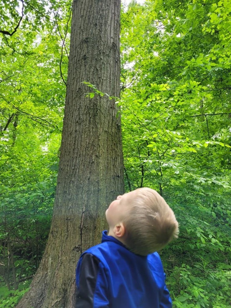 Preschoolers playing outside.