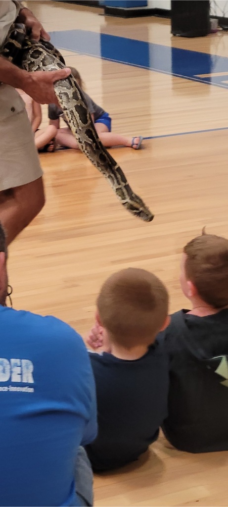 Preschoolers learning about animals.